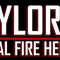 Taylor's Tins Fire Helmets