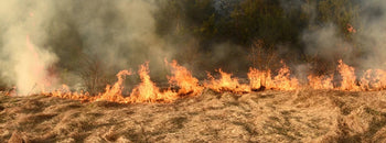 Wildland Firefighting Hoods