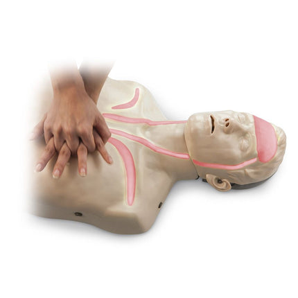 Brayden Manikin with Red Indicator Lights