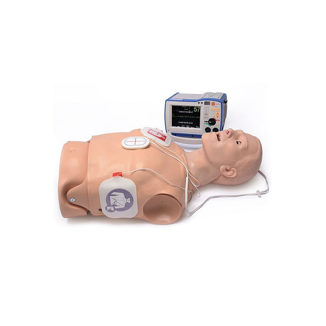 Gaumard® HAL® Adult CPR+D Skills Trainer Torso